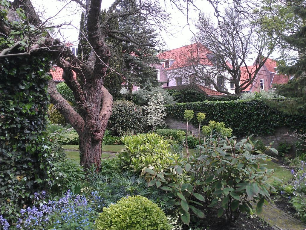klassieke-tuin